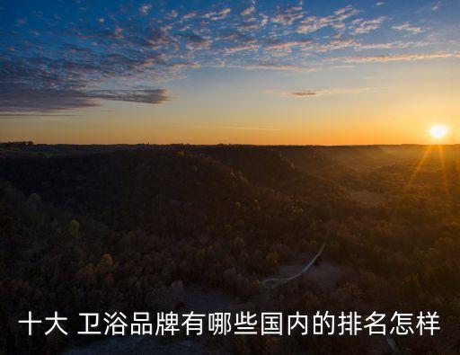十大 衛(wèi)浴品牌有哪些國內(nèi)的排名怎樣