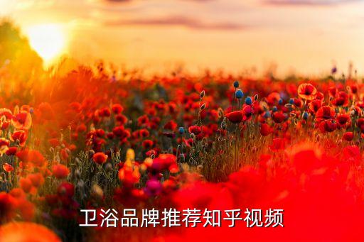 鱷魚衛(wèi)浴品牌推薦知乎視頻