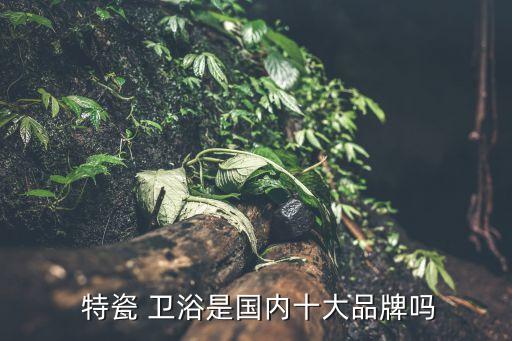  特瓷 衛(wèi)浴是國(guó)內(nèi)十大品牌嗎