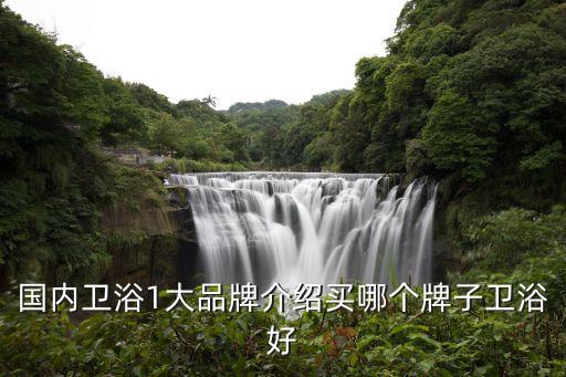 想注冊個衛(wèi)浴品牌啥牌子好