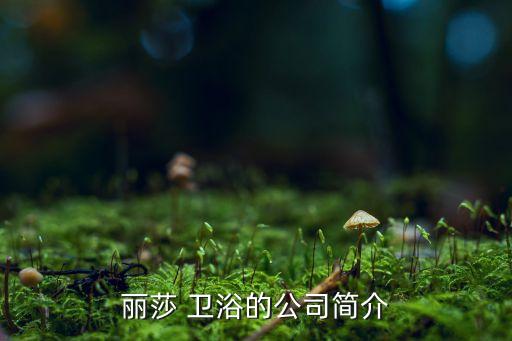 麗莎 衛(wèi)浴的公司簡(jiǎn)介