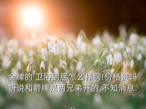 金牌的 衛(wèi)浴到底怎么樣啊!價(jià)格貴嗎聽說和箭牌是兩兄弟開的,不知消息...
