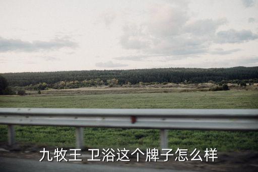 九牧王 衛(wèi)浴這個牌子怎么樣