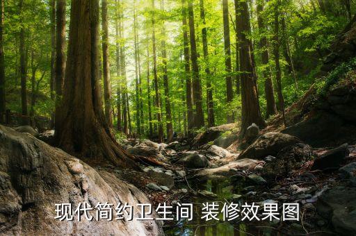現(xiàn)代簡約衛(wèi)生間 裝修效果圖