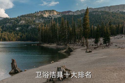  衛(wèi)浴潔具十大排名