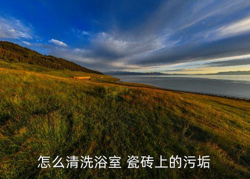 怎么清洗浴室 瓷磚上的污垢