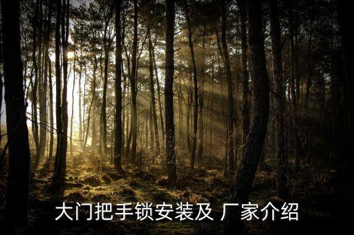 大門把手鎖安裝及 廠家介紹