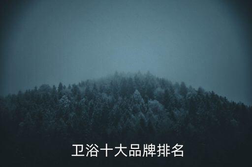 心海浪衛(wèi)浴屬于幾線品牌