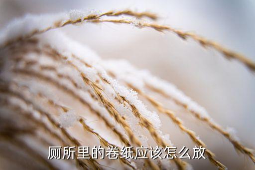 衛(wèi)浴紙盒收納方法圖片大全