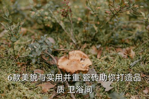 6款美貌與實用并重 瓷磚助你打造品質(zhì) 衛(wèi)浴間