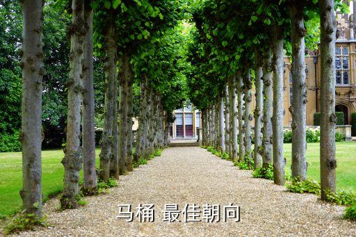 馬桶 最佳朝向
