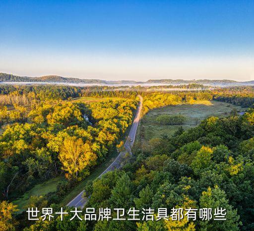 世界十大品牌衛(wèi)生潔具都有哪些