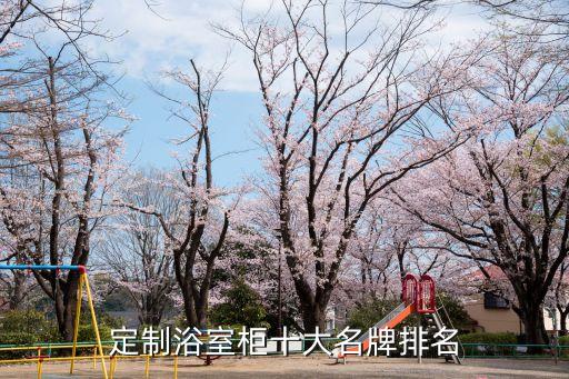 定制浴室柜十大名牌排名