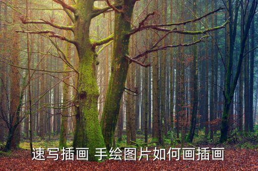速寫插畫 手繪圖片如何畫插畫