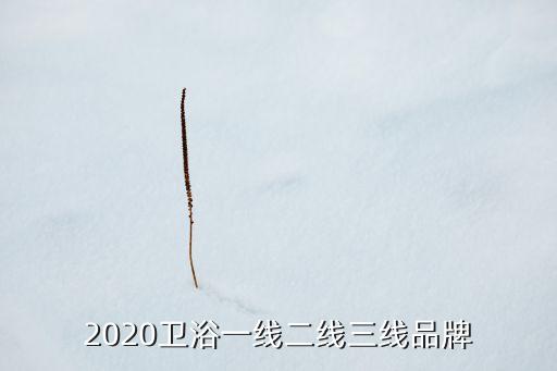 2020衛(wèi)浴一線二線三線品牌
