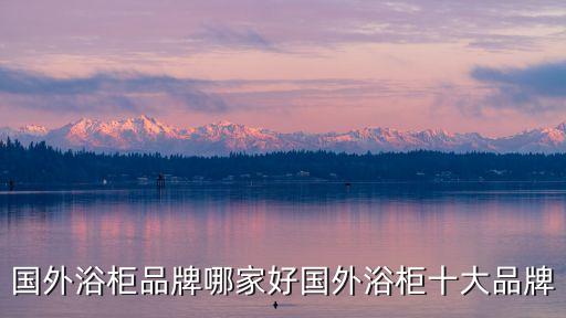 國外浴柜品牌哪家好國外浴柜十大品牌