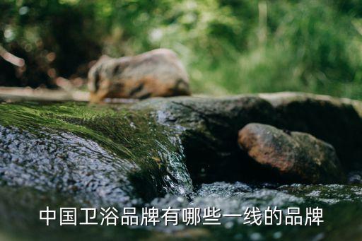中國衛(wèi)浴品牌有哪些一線的品牌