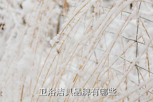 達州廚房衛(wèi)浴廠家直銷電話