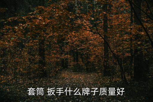 品牌衛(wèi)浴扳手價格,衛(wèi)浴10大品牌排行榜及價格