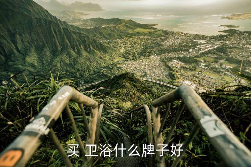 買 衛(wèi)浴什么牌子好