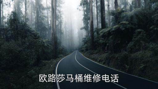 歐路莎馬桶維修電話