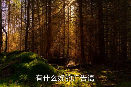 有什么好的廣告語