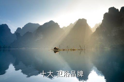 十大 衛(wèi)浴品牌
