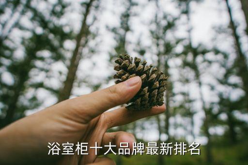 ?？h誠(chéng)信衛(wèi)浴地址
