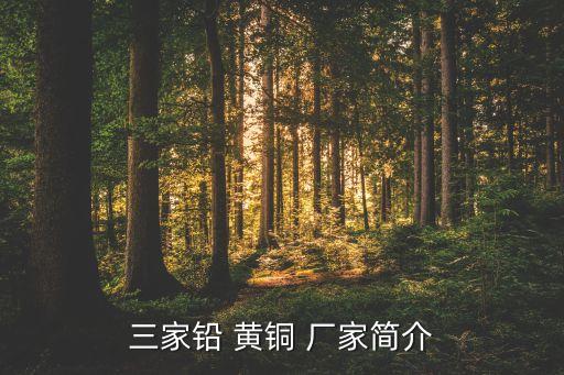 三家鉛 黃銅 廠家簡介