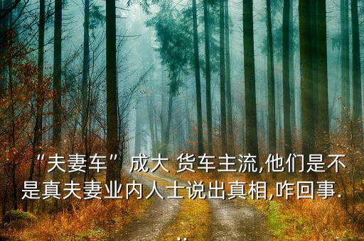 “夫妻車”成大 貨車主流,他們是不是真夫妻業(yè)內(nèi)人士說出真相,咋回事...