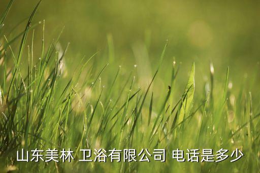 山東美林 衛(wèi)浴有限公司 電話是多少