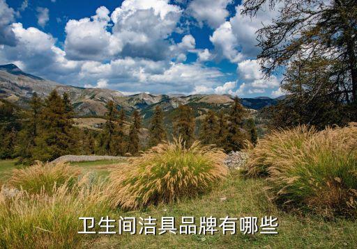 吉林衛(wèi)浴超市在哪兒啊電話