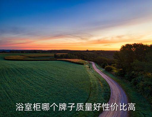 浴室柜哪個牌子質(zhì)量好性價比高