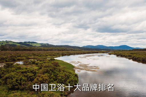 中國(guó)衛(wèi)浴十大品牌排名