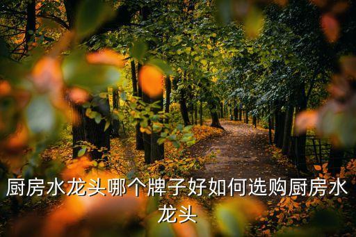 廚房水龍頭哪個牌子好如何選購廚房水龍頭
