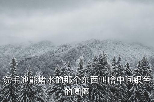 洗手池能堵水的那個(gè)東西叫啥中間銀色的圓圈