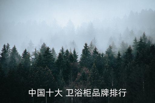 成品衛(wèi)浴柜哪個品牌好一點,衛(wèi)浴柜哪個品牌性價比高