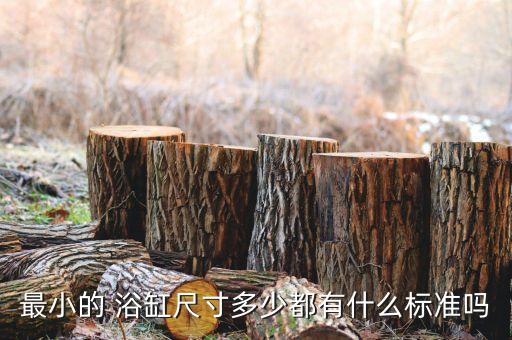 最小的 浴缸尺寸多少都有什么標準嗎