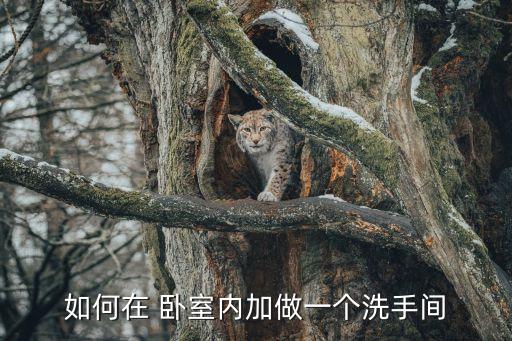 臥室陽臺做衛(wèi)浴圖片效果圖