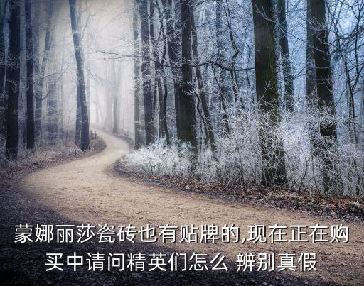 蒙娜麗莎瓷磚也有貼牌的,現(xiàn)在正在購買中請問精英們怎么 辨別真假