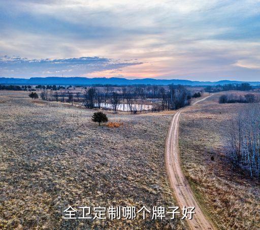 全衛(wèi)定制哪個牌子好
