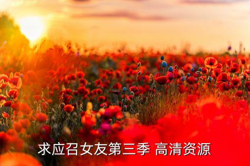 求應(yīng)召女友第三季 高清資源