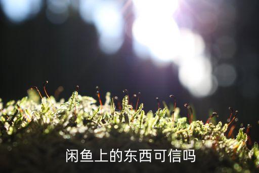  閑魚上的東西可信嗎