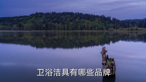  衛(wèi)浴潔具有哪些品牌