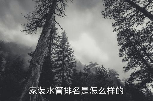 RIIFO什么衛(wèi)浴品牌,casero衛(wèi)浴什么品牌