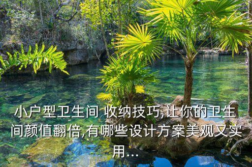 小戶型衛(wèi)生間 收納技巧,讓你的衛(wèi)生間顏值翻倍,有哪些設(shè)計(jì)方案美觀又實(shí)用...