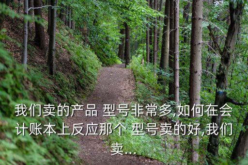 我們賣的產(chǎn)品 型號非常多,如何在會計賬本上反應那個 型號賣的好,我們賣...