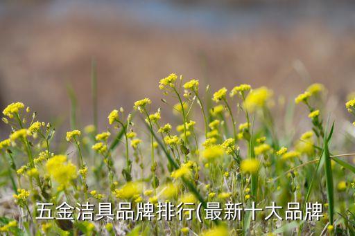 衛(wèi)浴五金實(shí)拍圖片大全圖,五金衛(wèi)浴品牌排行榜前十名
