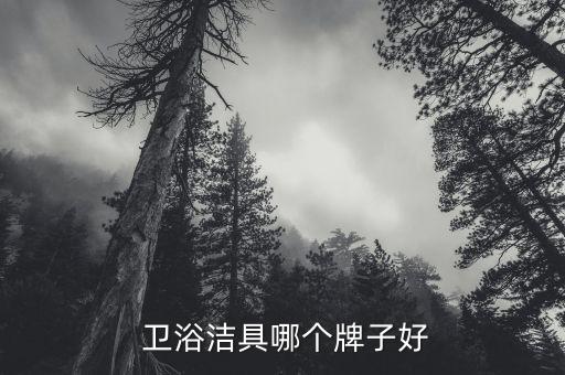 衛(wèi)浴品牌精選 roca,中國(guó)十大衛(wèi)浴品牌有哪些