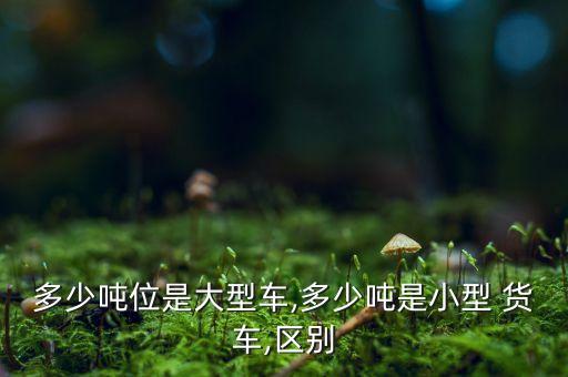 多少噸位是大型車,多少噸是小型 貨車,區(qū)別
